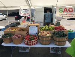 Pepperfest 2017