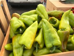 Pepperfest 2017