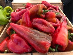 Pepperfest 2017