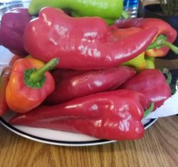 2021 Beaver Dam Pepper Festival