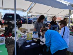 Beaver Dam Pepper Festival 2019