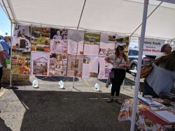 Beaver Dam Pepper Festival 2019