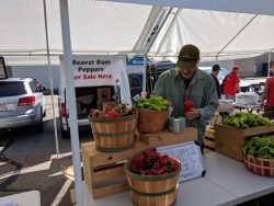 Beaver Dam Pepper Festival 2019